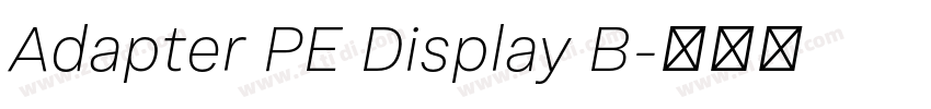 Adapter PE Display B字体转换